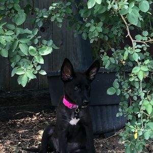 Meet your Posher, Aaron